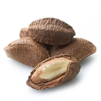 #1010 Aria Nature's Raw Unsalted Brazil Nuts (In Shell) - Parrot Treat & Foraging Enrichment - 1lb