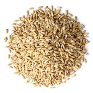 #1015 Aria Nature's Raw Unsalted Oat Groats In Shell - Parrot Food & Enrichment Grain - 1lb