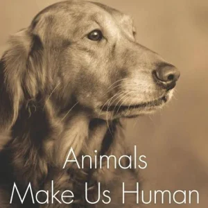 Animals Make Us Human: Creating the Best Life for Animals (Temple Grandin and Catherine Johnson)