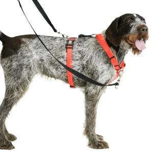 Blue-9 Balance Harness