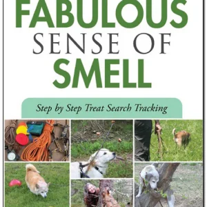 A Dog's Fabulous Sense Of Smell: Step by Step Treat Search Tracking by Anne Lill Kvam