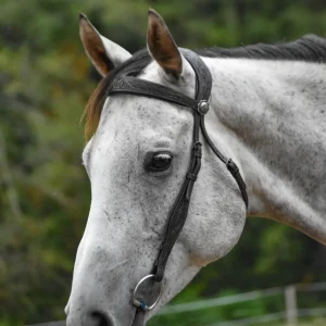 “Mesa” Western Bitted Bridle