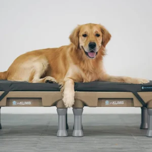 Blue-9 Restore+ Double Dog Bed