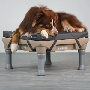 Blue-9 Restore Dog Bed Single
