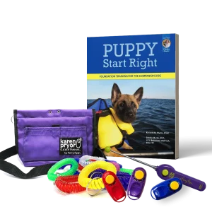 Puppy Adoption Training Kit