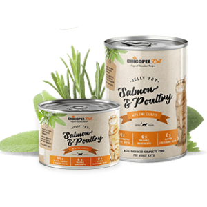 Chicopee Adult Salmon & Poultry