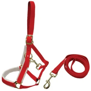 Christmas Halter