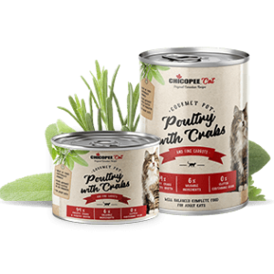 Chicopee Adult Poultry with Crabs