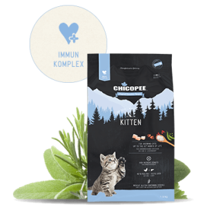 Chicopee HNL Cat KITTEN