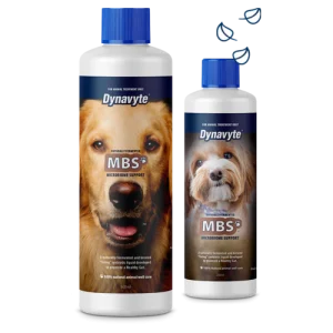 Dynavyte Pet Dog