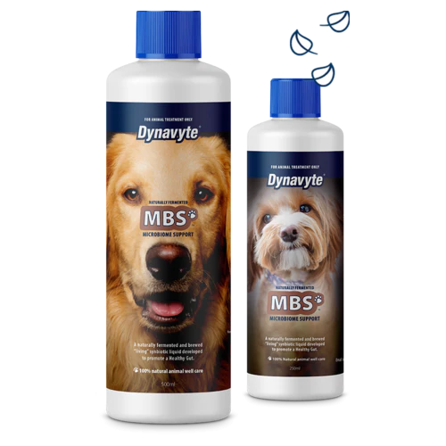 Dynavyte Pet Dog