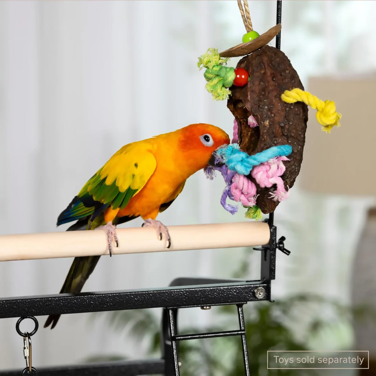 Prevue Pet Products Small Parrot Playstand - Gym Activity Center Bird Stand #3181 - Bild 7