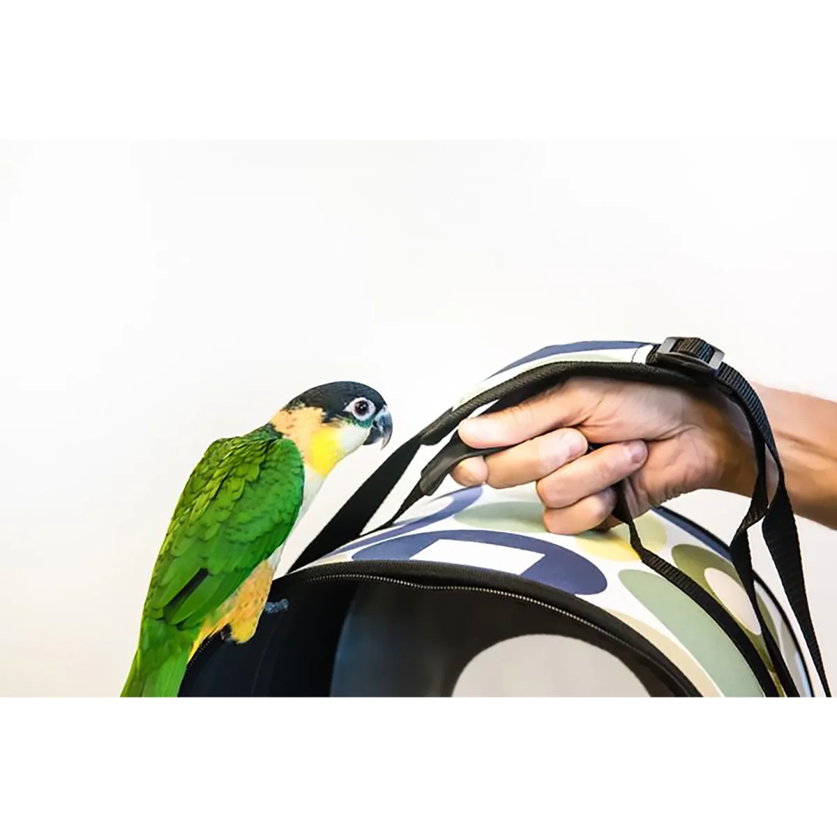 Prevue Pet Products Softcase Bird Travel Carrier Small - Soft-Sided Parrot Carrier #1308 - Bild 8