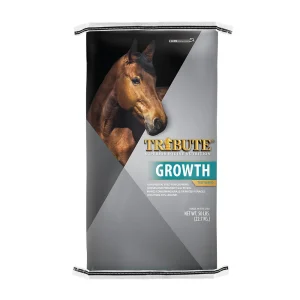 16% Growth Textured (Canada)